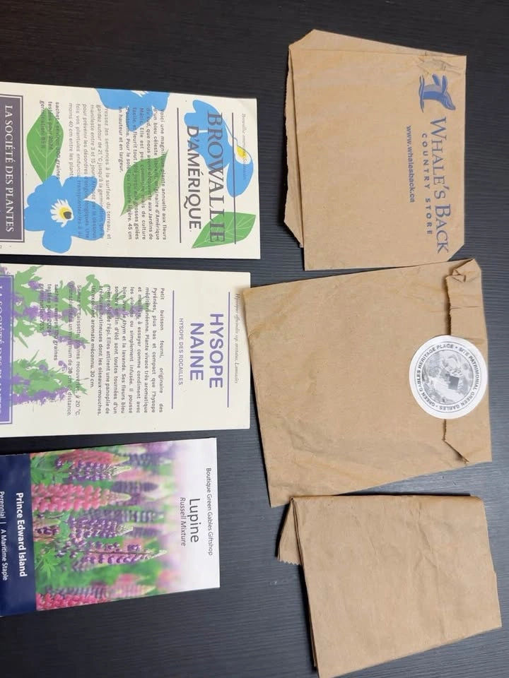 Browallia, Hyssop, and Lupine Seed Packets - photo 2