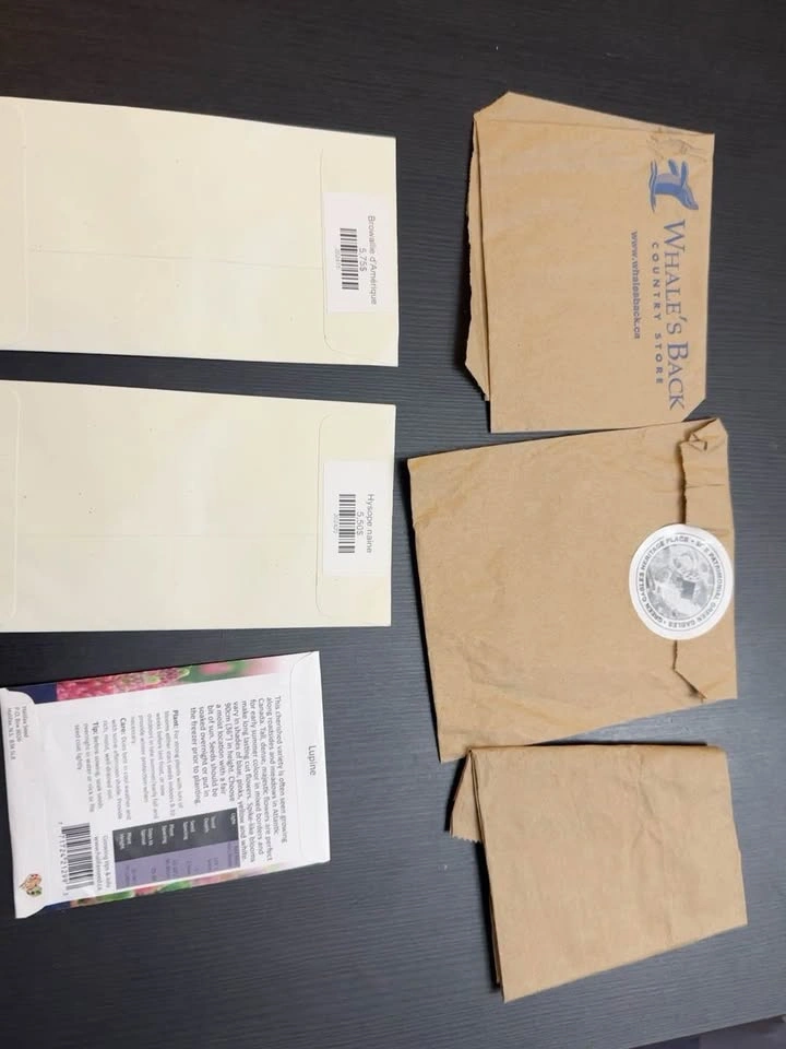 Browallia, Hyssop, and Lupine Seed Packets - photo 3