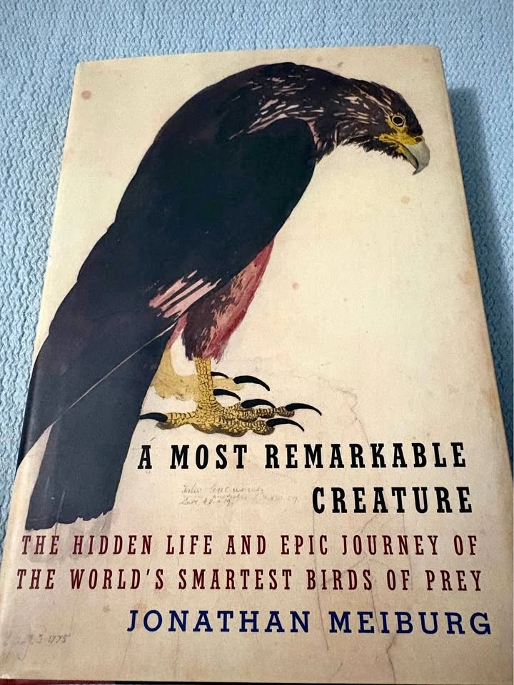 A most remarkable creature hardcover book