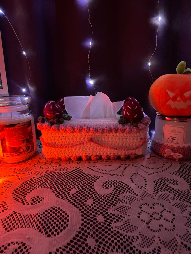 Handmade Crochet Strawberry Shortcake Tissue Box Cover - photo 2