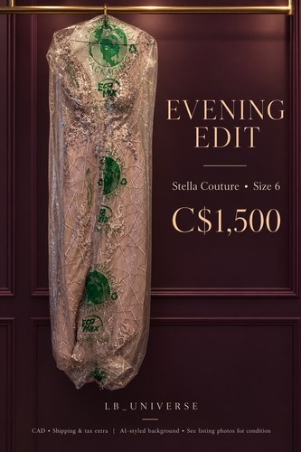 Stella Couture Blush Beaded Lace Formal Evening Gown Size 6