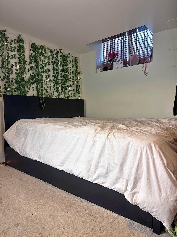 IKEA Queen Bed Frame w/ Storage (Dark Wood)