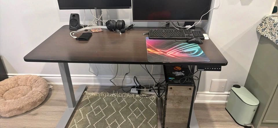 Moving sale! Autonomous electric standing desk