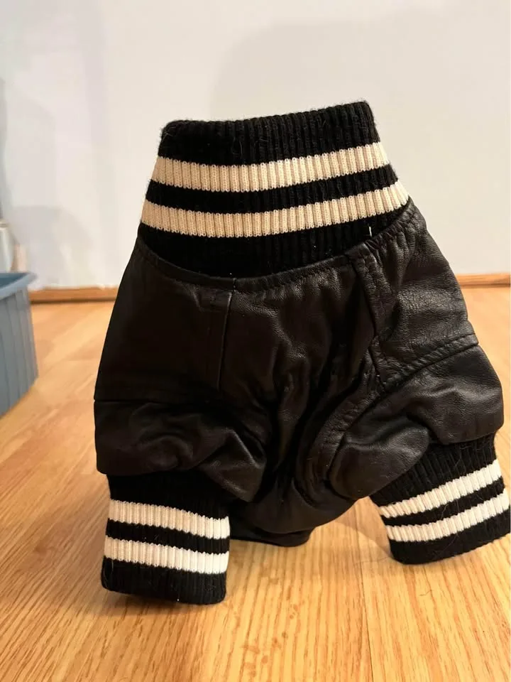 Leather Dog Jackets - Roots image indicator(6)