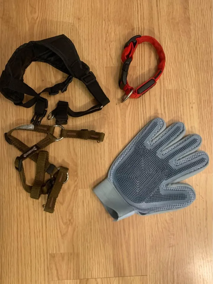 Leather Dog Jackets - Roots image indicator(9)