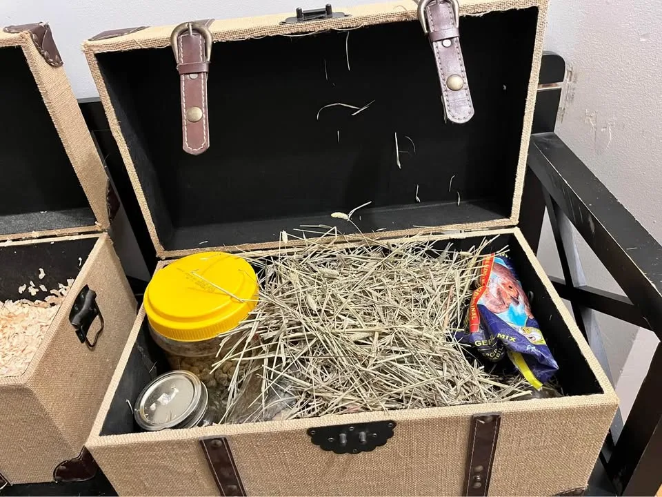 3 Hamster Cages + Supplies image indicator(8)