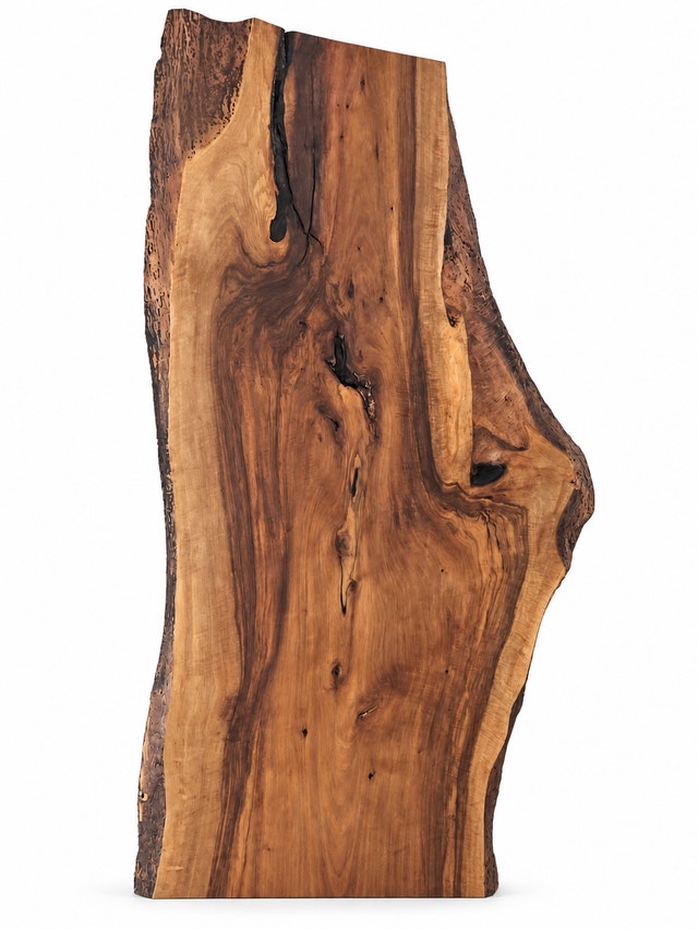 LIVE-EDGE WALNUT WOOD COLLECTION - STATEMENT SLAB + 3 SHELVES