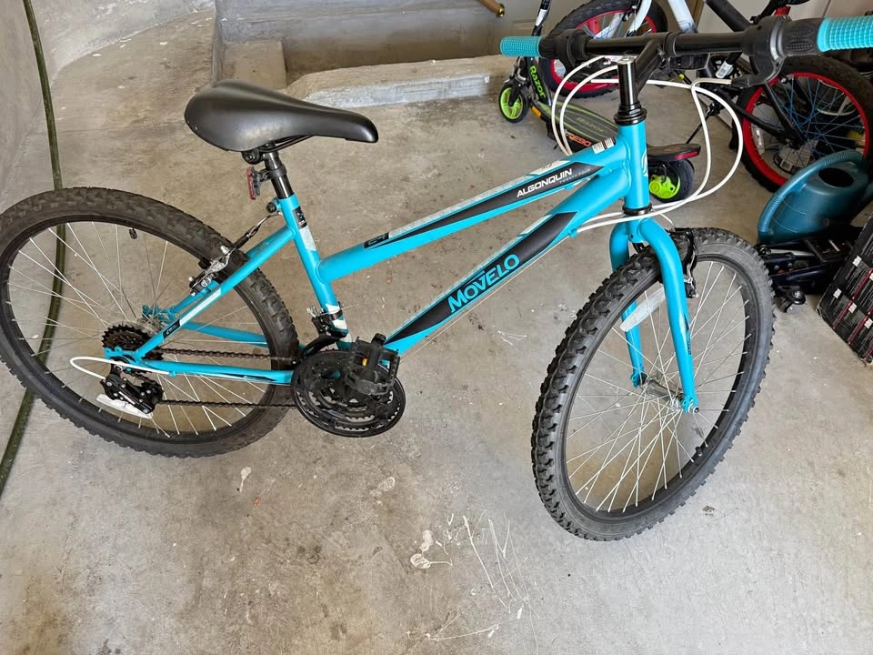 Movelo Algonquin 24" Mountain Bike