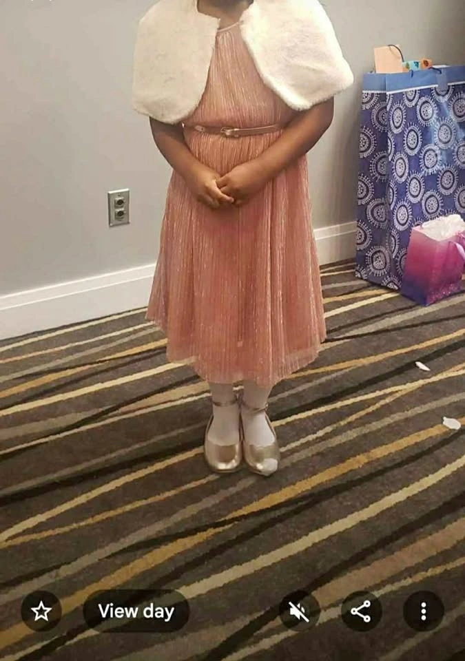 Girls' Shimmery Pink Dress