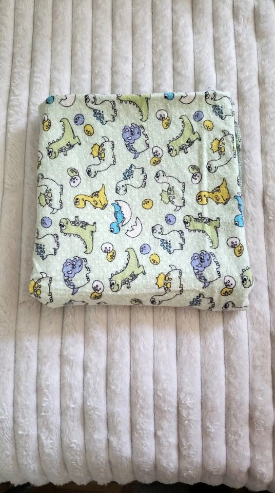 Baby Dinosaur Blanket