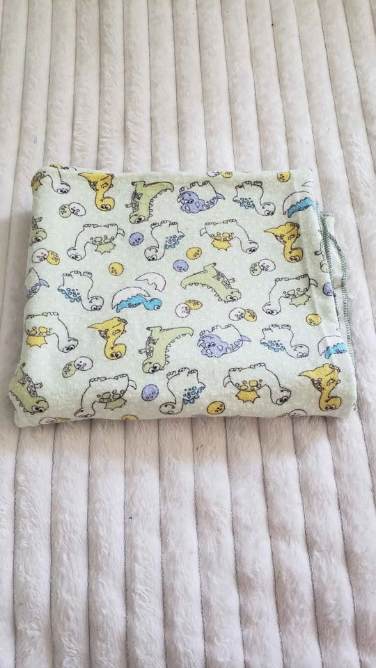 Baby Dinosaur Blanket - photo 2