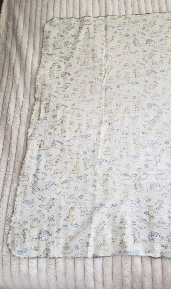 Baby Dinosaur Blanket - photo 5