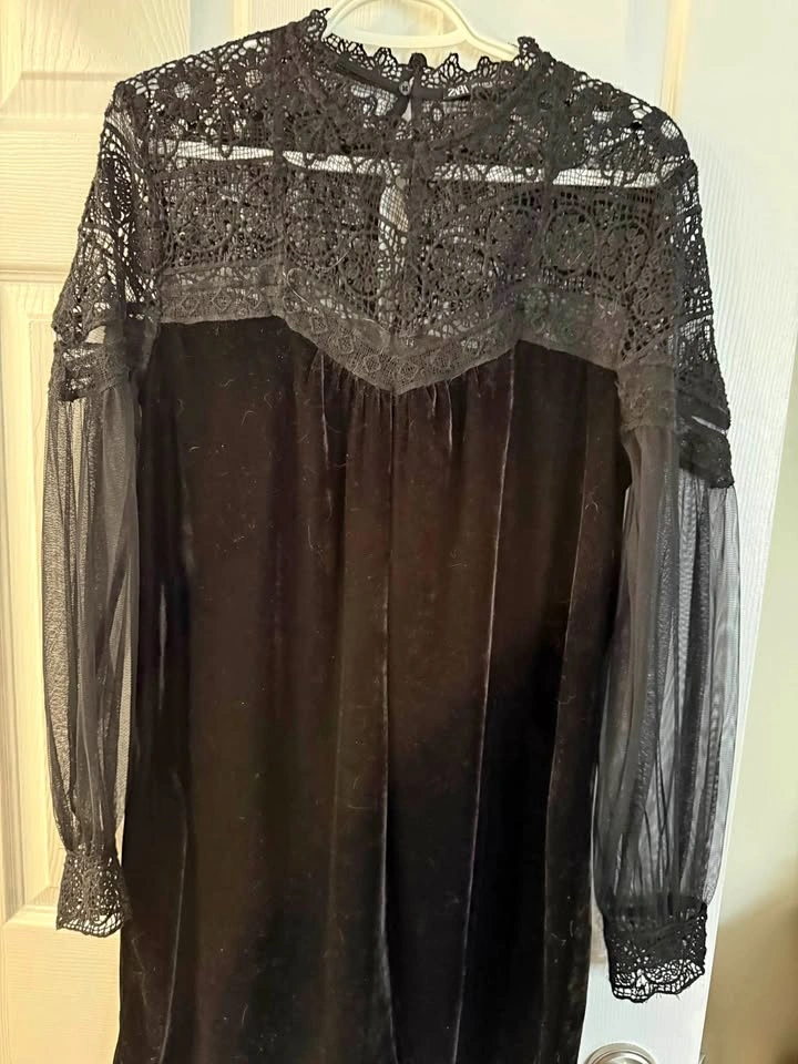 Zara Black Velvet and Lace Long Sleeve Dress