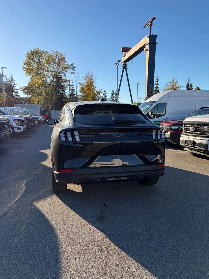 2026 Ford Mustang MACH-E - photo 3