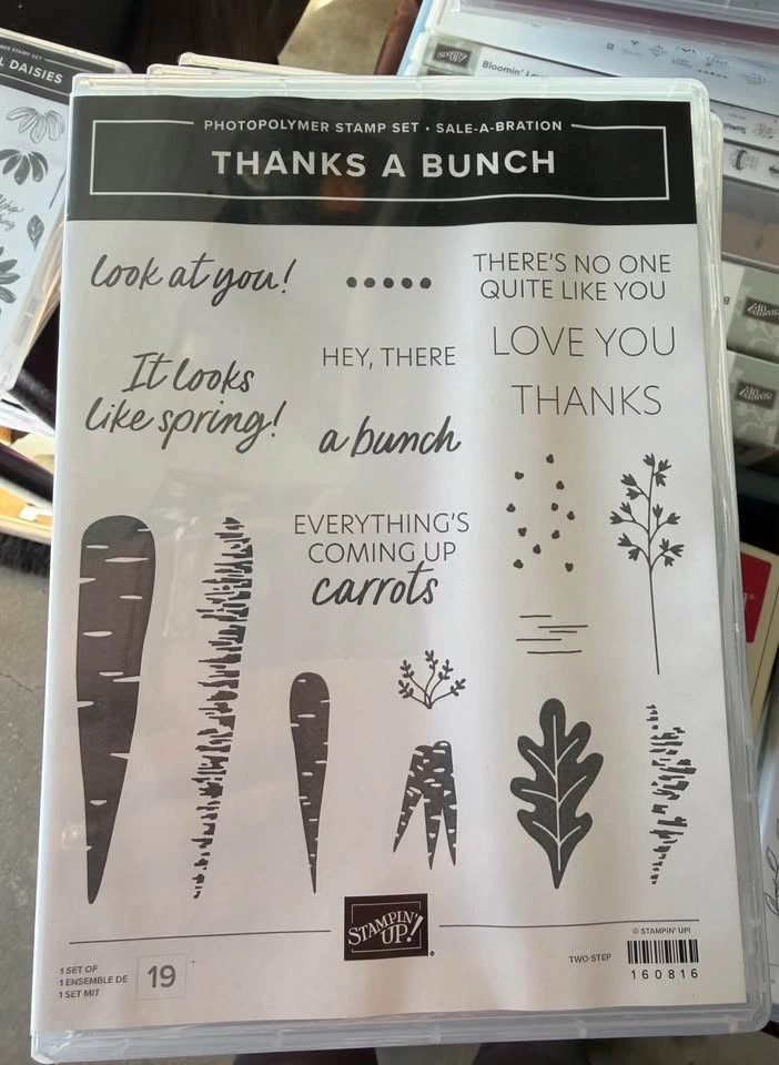 Stampin’ Up New stamp sets - photo 3