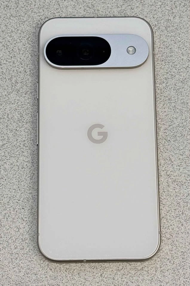 Google Pixel 9 + Box, Cable, Case