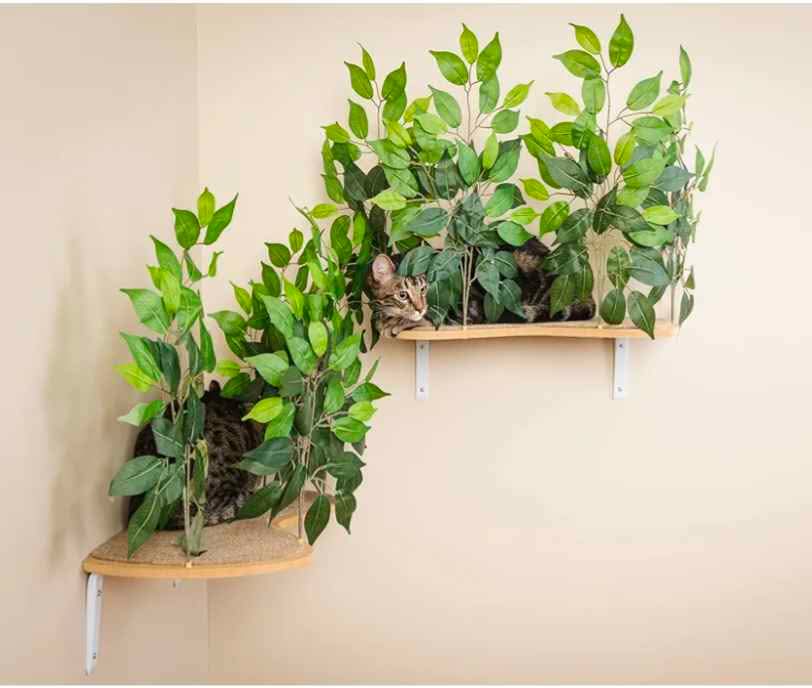 Cat Canopy- Shelves for Climbing, Playing, Set of 2 - photo 2