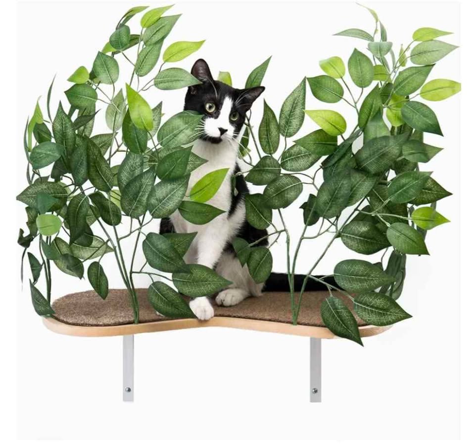 Cat Canopy- Shelves for Climbing, Playing, Set of 2 - photo 3