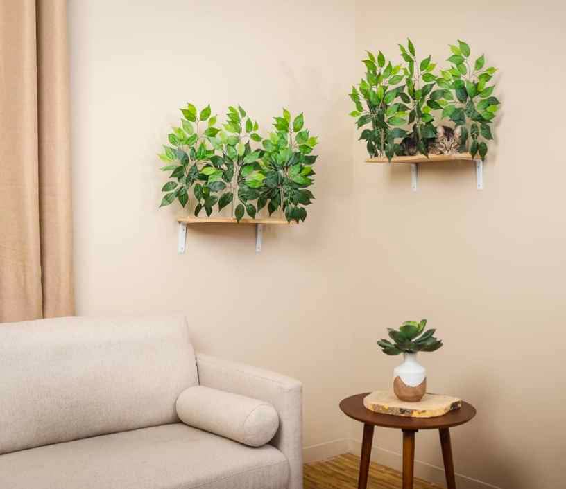 Cat Canopy- Shelves for Climbing, Playing, Set of 2 - photo 4