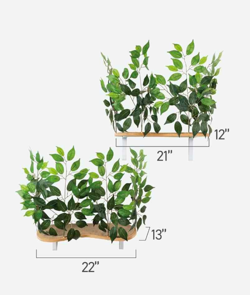Cat Canopy- Shelves for Climbing, Playing, Set of 2 - photo 5