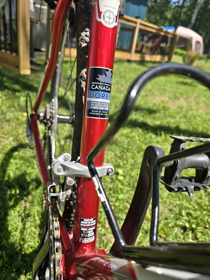 24 inch schwinn crossfit