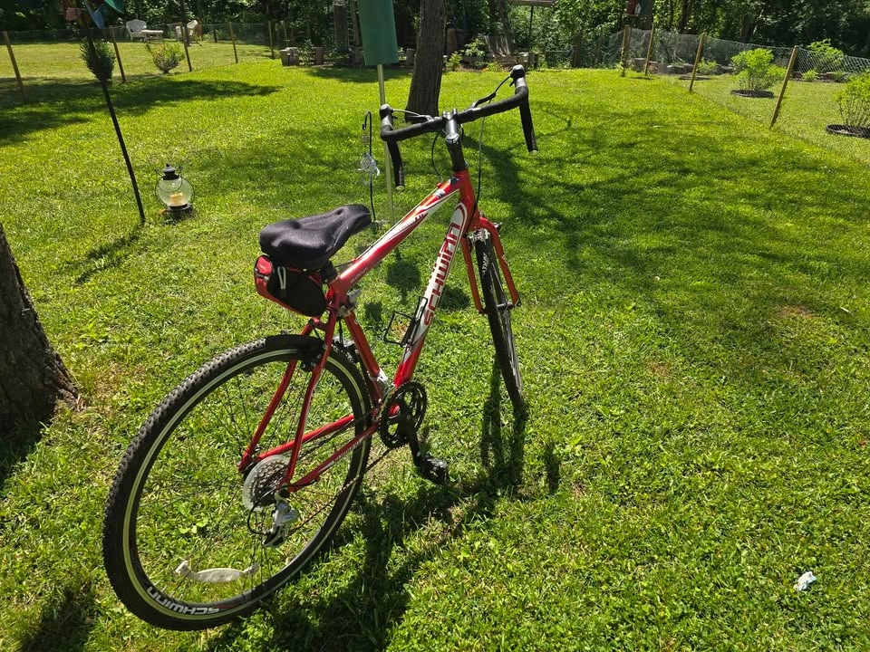 24 inch schwinn crossfit - photo 2