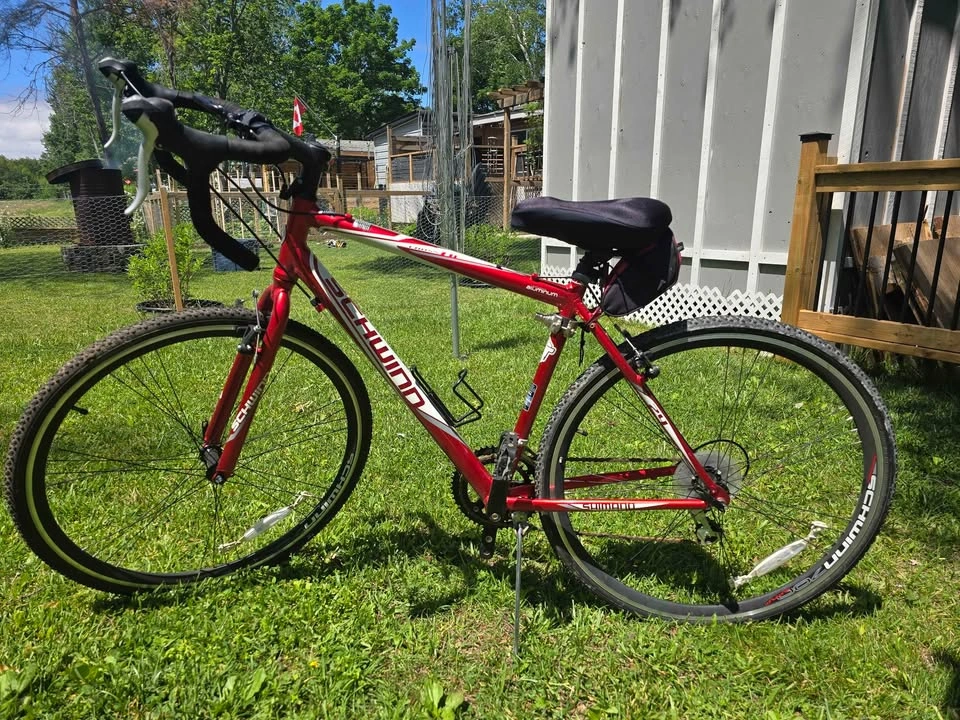 24 inch schwinn crossfit - photo 4