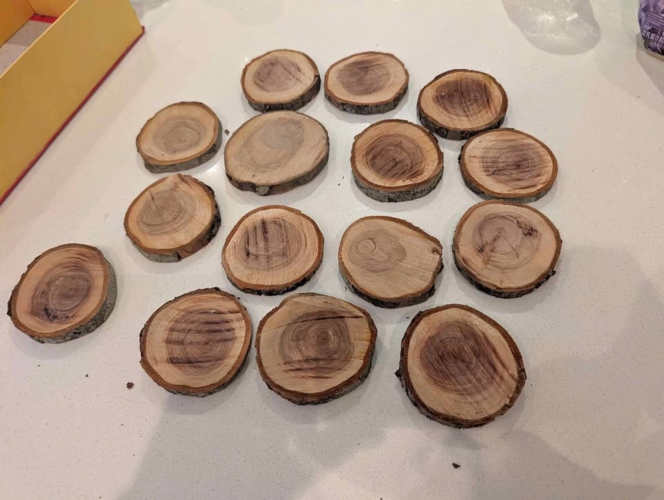 Natural Cherry Wood Slices / Coasters - Set of 14