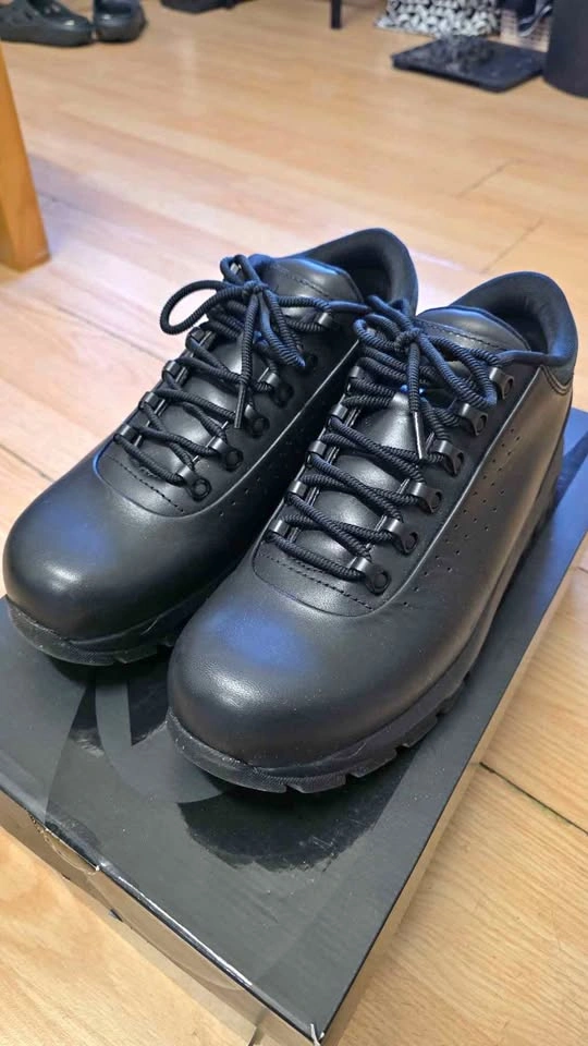 Nike ACG Air Max Goadome Low SP shoes