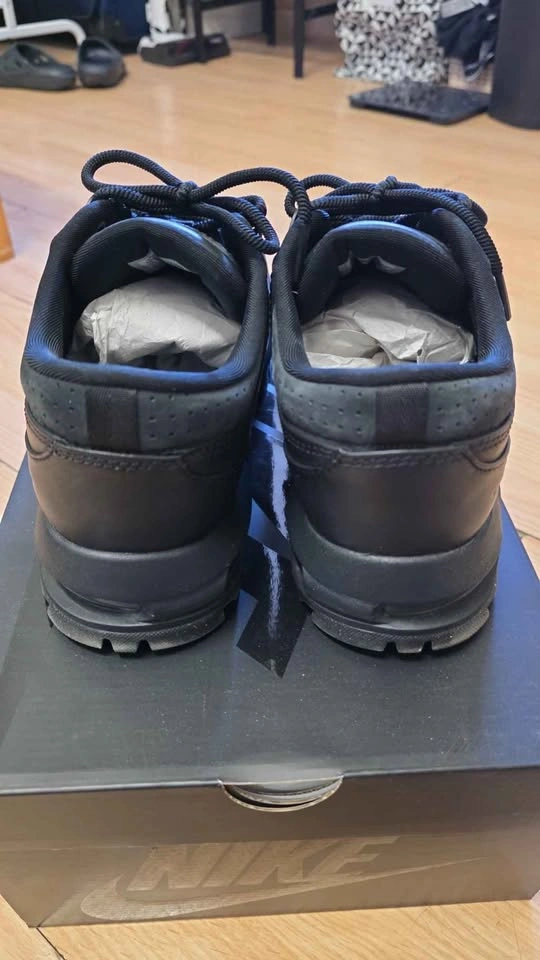 Nike ACG Air Max Goadome Low SP shoes - photo 3