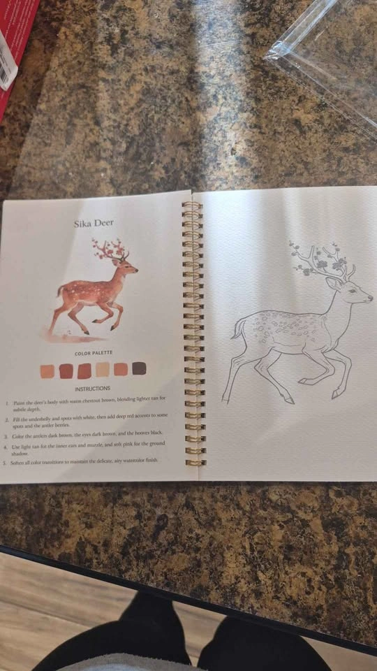 Watercolour workbook - photo 5