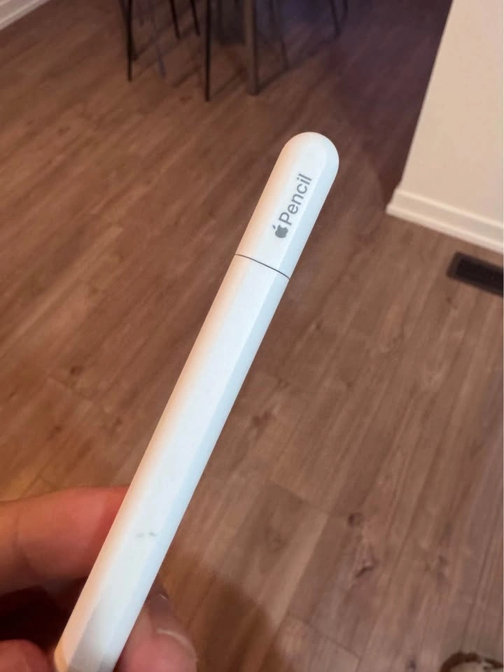 Apple Pencil (USB-C) - photo 2