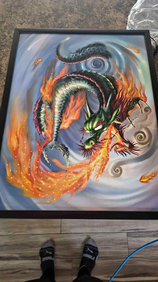 LED light up dragon picture bnib