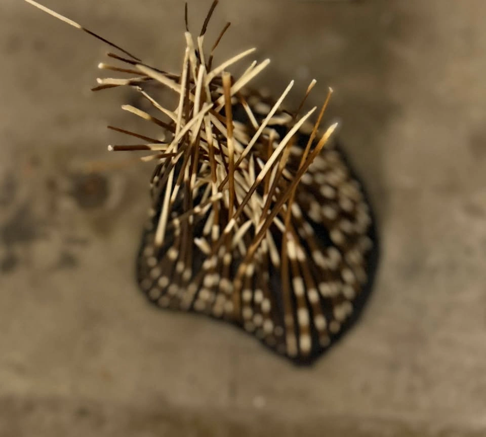Rare Ndebele Porcupine Quill Headdress from Zambia - photo 2