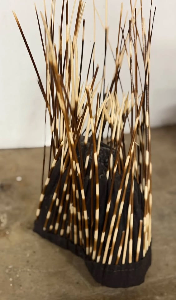 Rare Ndebele Porcupine Quill Headdress from Zambia - photo 3