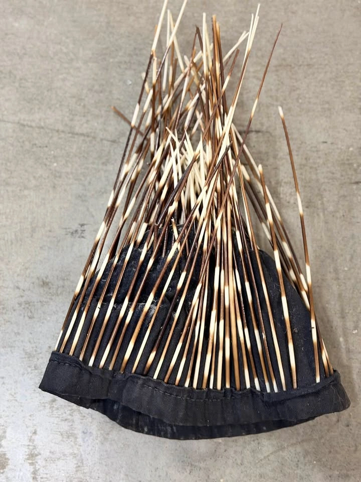 Rare Ndebele Porcupine Quill Headdress from Zambia - photo 4