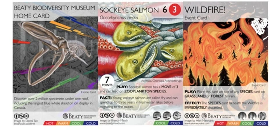Beaty Biodiversity Card Games