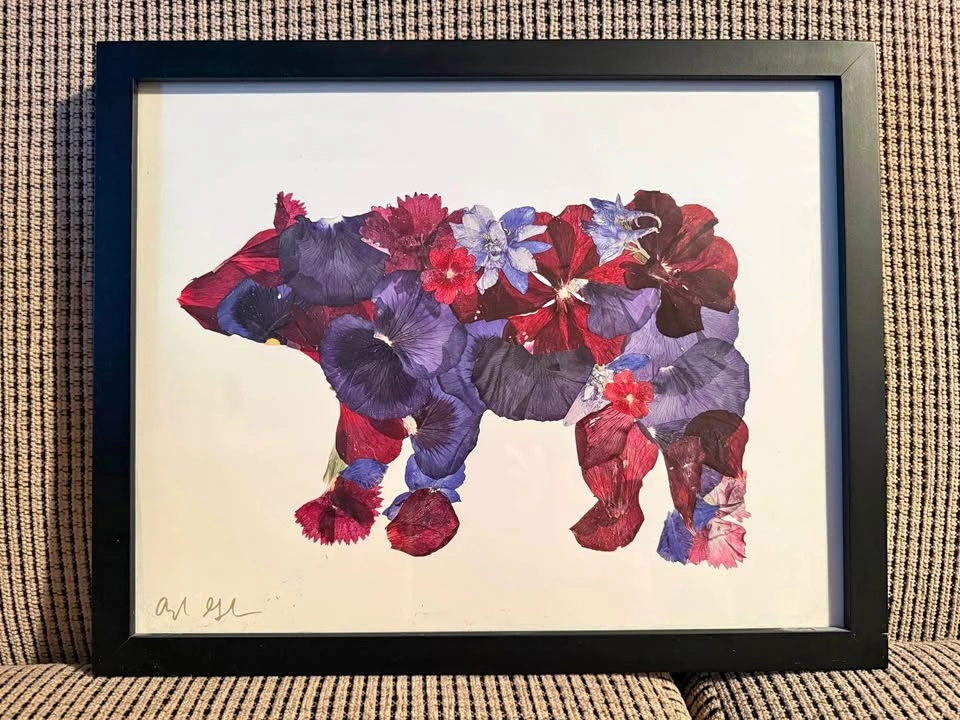 Bear picture