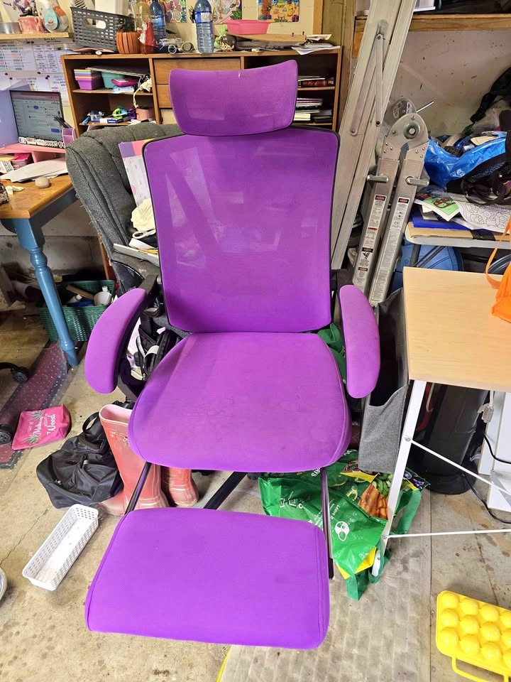 Computer/Gaming Chair