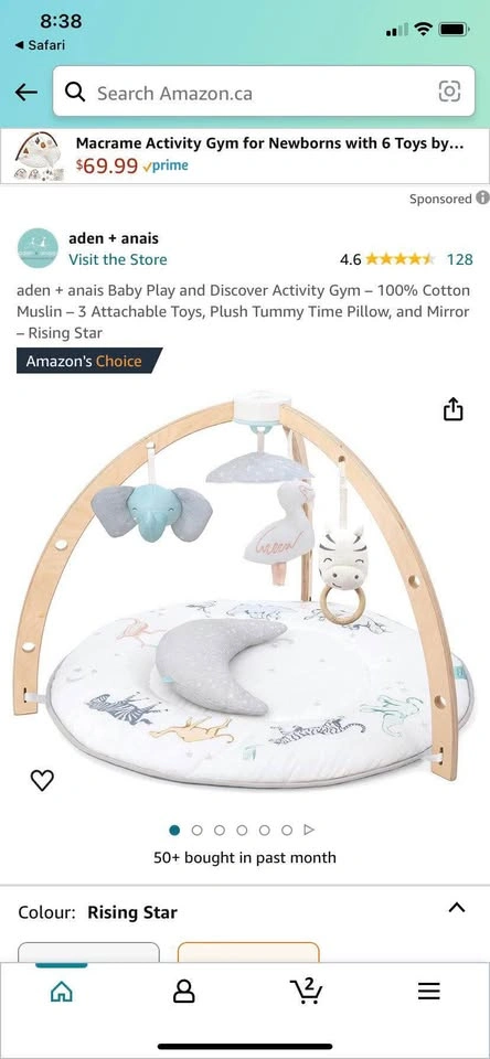 aden + anais Baby Play and Discover Activity Gym - photo 2