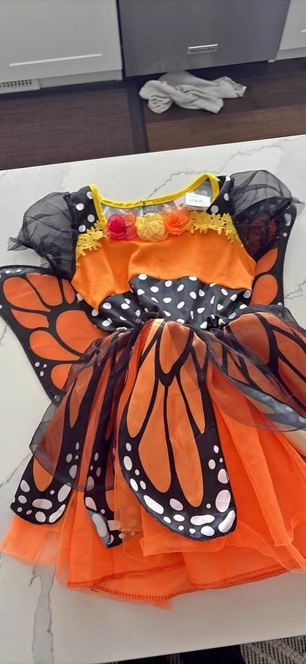 3T Butterfly Halloween Costume