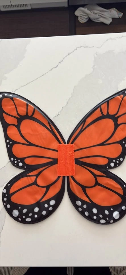 3T Butterfly Halloween Costume - photo 2