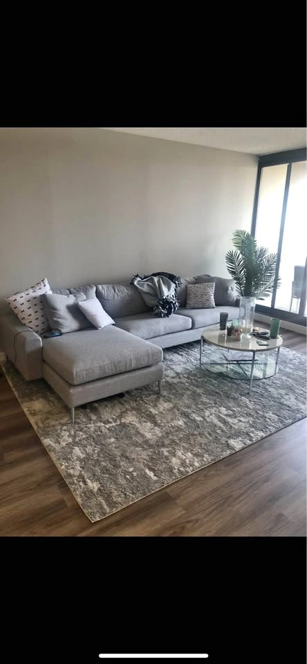 Nova sectional couch by Article