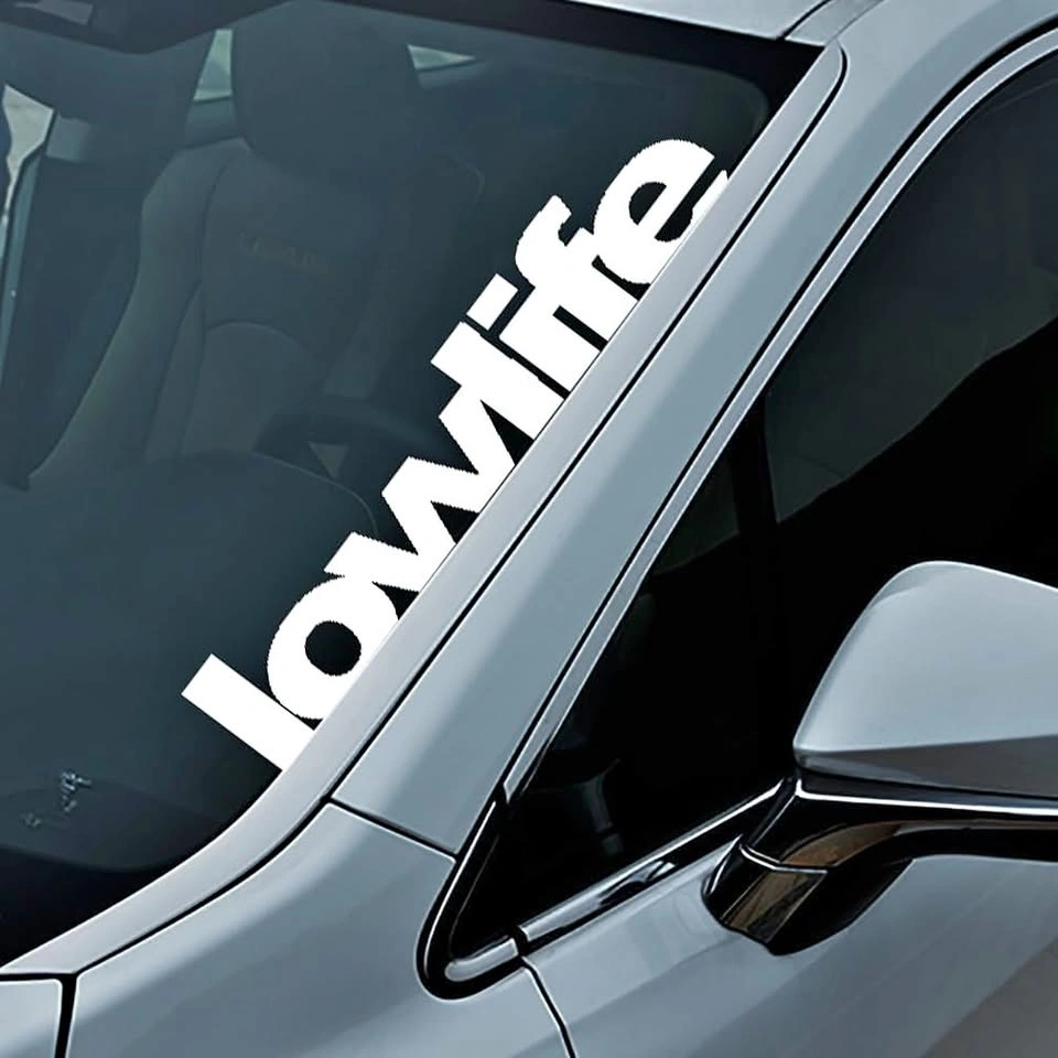 Lowlife Vinyl Banner Decal — Custom Colors