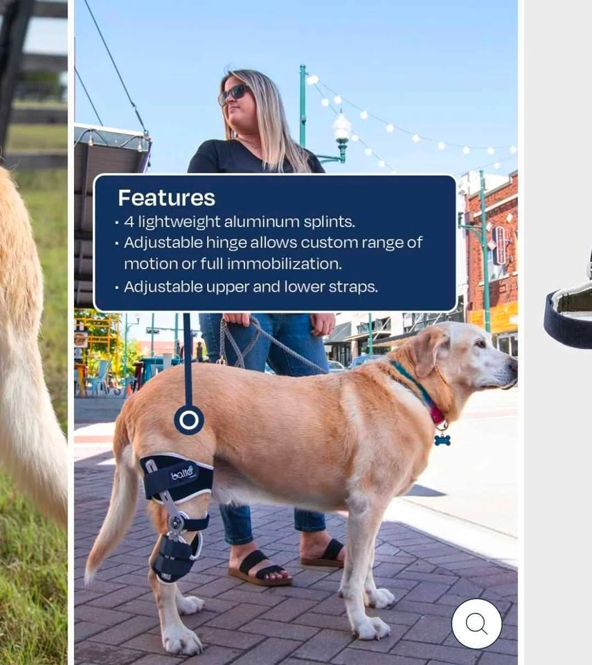 Balto Dog Leg Brace + Extra Brace - photo 3