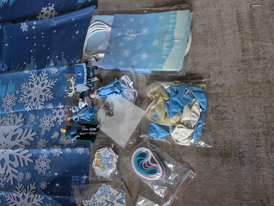 Brand new Disney Frozen Themed Birthday Party Supply Set - photo 3