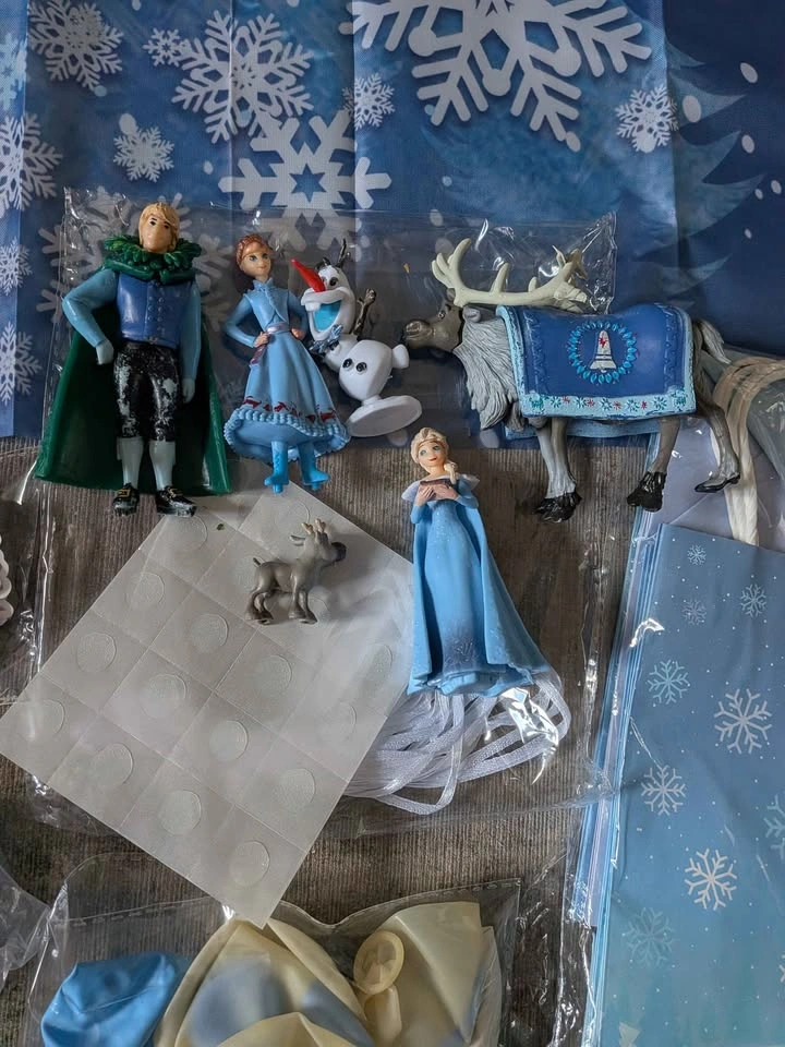 Brand new Disney Frozen Themed Birthday Party Supply Set - photo 4