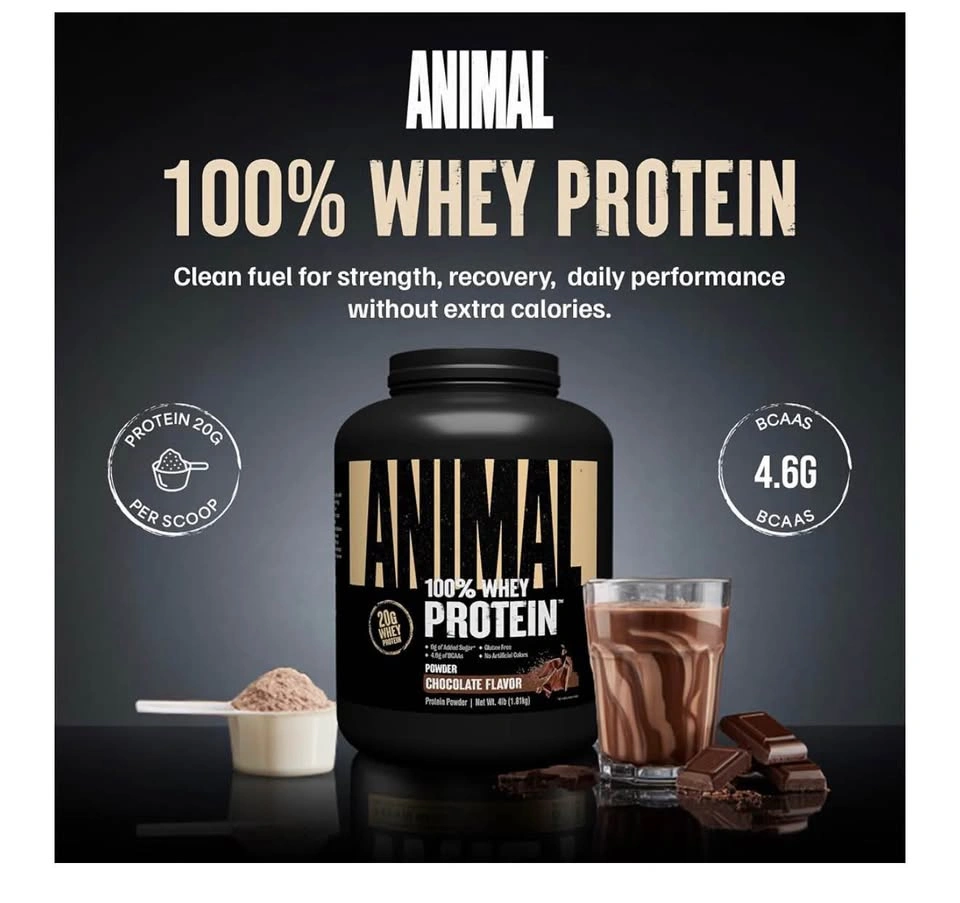 Animal 100% Whey Protein Powder, 20G High Protein | Chocolate 4L - photo 3