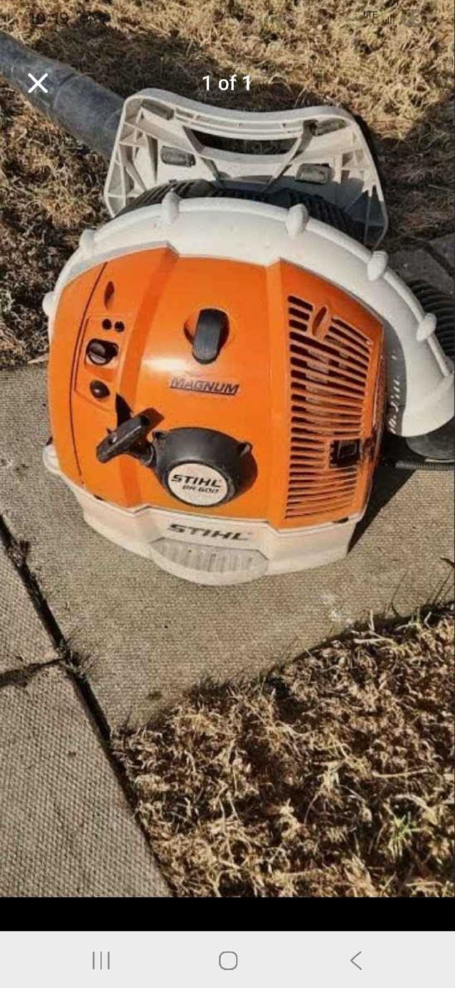 Stihl BR 600 Magnum Leaf Blower