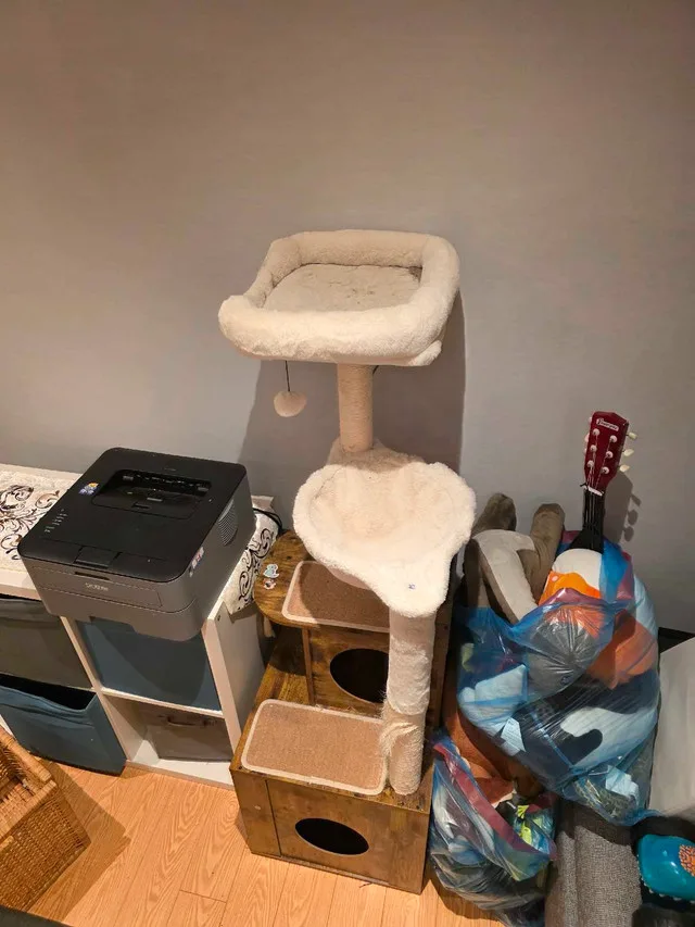 Cat scratch post tower image indicator(2)